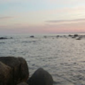 Meet your Posher, Bobbi